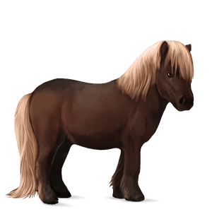 pony shetlandspony leverrød med lys man og hale
