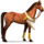 pony Ørken