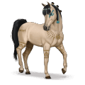 speciel hest: amira