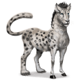 vild hest: sneleopard