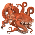 vild hest: kæmpeblæksprutte