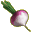 Roe