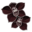 orchidee-noire.png?Rqr8j8rdf3Ku