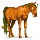 ridehest græskar
