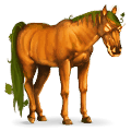 ridehest græskar