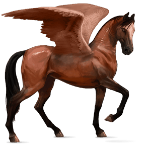 ridepegasus rød