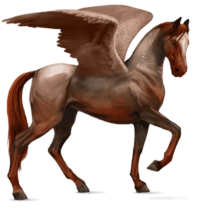 ridepegasus tennessee walker mørkebrun