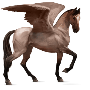 ridepegasus islænder rød