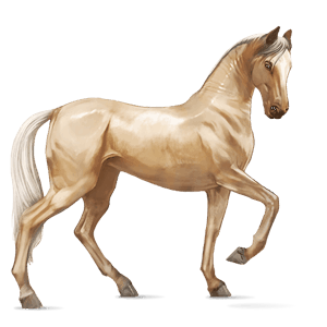 ridehest tennessee walker mørkebrun