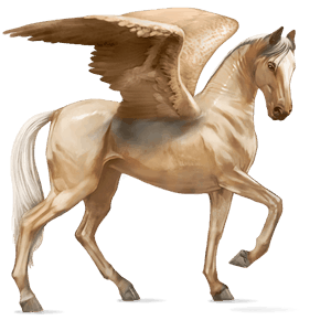 ridepegasus araber kirsebærbrun