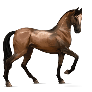 ridehest brun