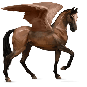 ridepegasus hannoveraner brun