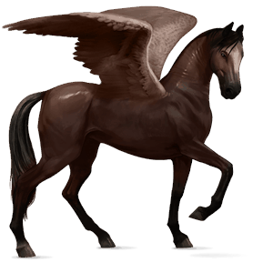 ridepegasus holstener kirsebærbrun