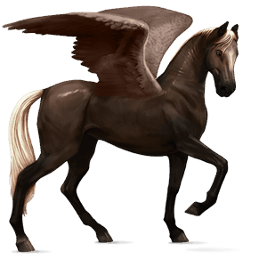 ridepegasus sort