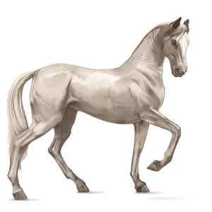 ridehest holstener mørkebrun
