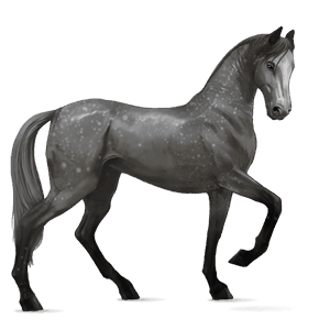 ridehest gråskimmel