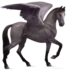 ridepegasus andalusier gråskimmel