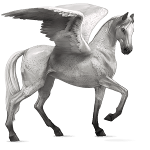 ridepegasus holstener gråskimmel