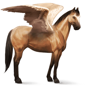 ridepegasus andalusier blakket