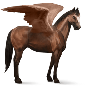 ridepegasus holstener rød