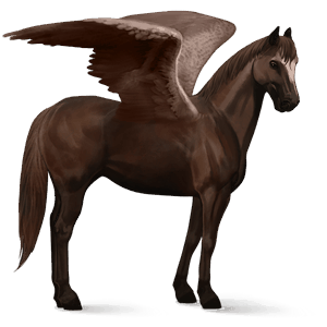 ridepegasus tennessee walker kirsebærbrun