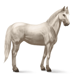 ridehest tennessee walker lysegrå