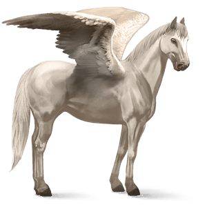 ridepegasus tysk sportshest sort