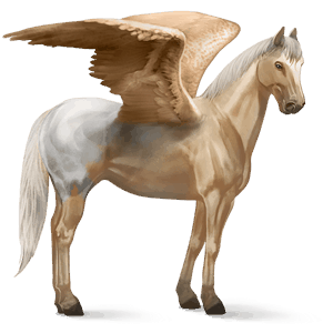 ridepegasus berber lysegrå