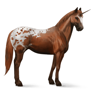 rideenhjørning appaloosa rød plettet blanket