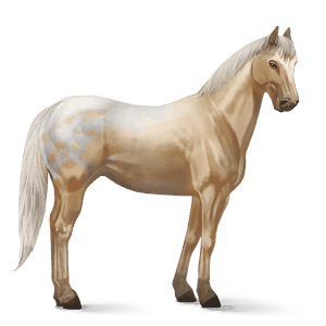 ridehest mustang blakket blanket