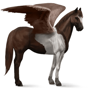 ridepegasus paint horse leverrød tobiano