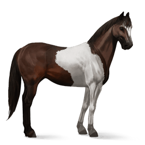 ridehest paint horse mørkebrun tobiano