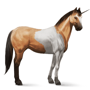 rideenhjørning paint horse blakket tobiano