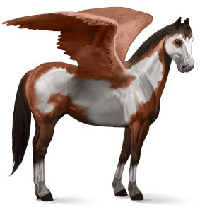 ridepegasus paint horse brun tobiano