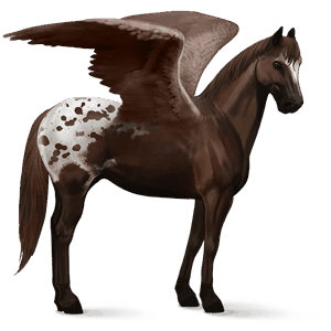 ridepegasus hannoveraner rød
