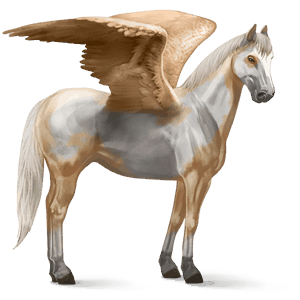 ridepegasus paint horse palomino overo
