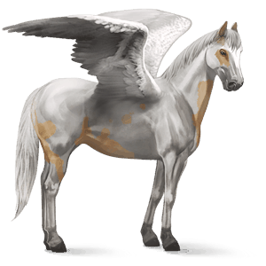 ridepegasus trakehner cremello