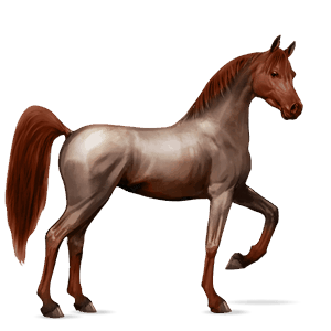 ridehest skimmel