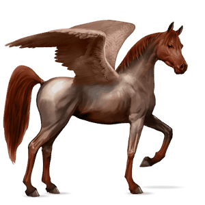 ridepegasus holstener leverrød