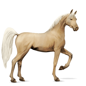 ridehest kwpn rød