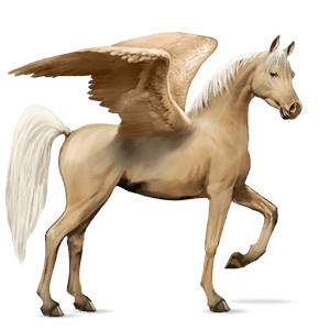 ridepegasus araber rød