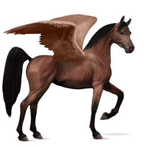 ridepegasus araber leverrød