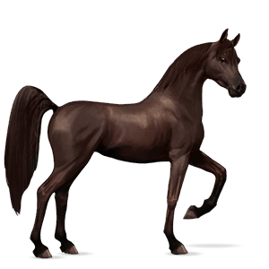 ridehest leverrød