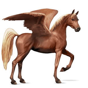 ridepegasus araber brun
