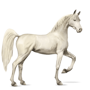 ridehest mørkebrun
