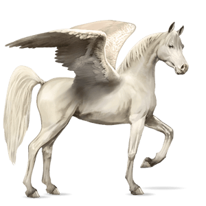 ridepegasus araber flueplettet grå