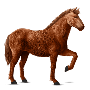 ridehest islænder rød