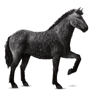 ridehest sort