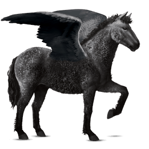 ridepegasus curly rød tobiano