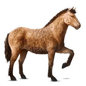 ridehest knabstrupper brun